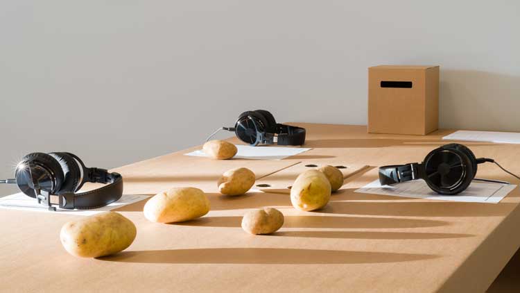 Iman Datoo, Making a Name. An interactive and collaborative artwork composed of audio instructions inviting participants to be inspired and derive new names for plants through non-verbal methods of interacting with a potato. Image courtesy Eden Project.