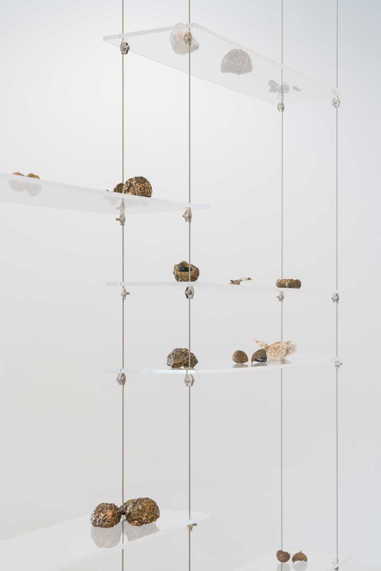 Kedisha Coakley, Horticultural Appropriation, 2022. Volcanic rock, salt crystals, passion fruit and lychee. Image courtesy Eden Project.