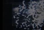 Linda Stupart. Suprematism, 2014. Video, 15 min.