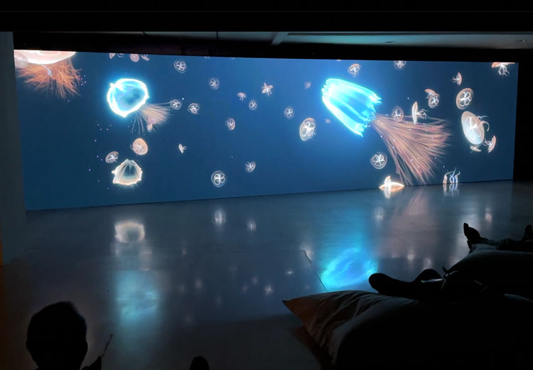 Wu Tsang. Installation view, Of Whales, Museo Nacional Thyssen-Bornemisza, Madrid. Photo: Martin Kennedy.