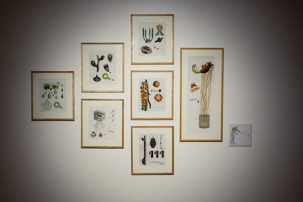 Alexandra Daisy Ginsberg & Sascha Pohflepp, Growth Assembly, 2009, Seven prints of watercolour paintings and one C-type print. Illustrations by Siôn Ap Tomos. Edition 1 of 10. on aluminium. Courtesy of Talbot Rice Gallery, University of Edinburgh. Photo: Sally Jubb.